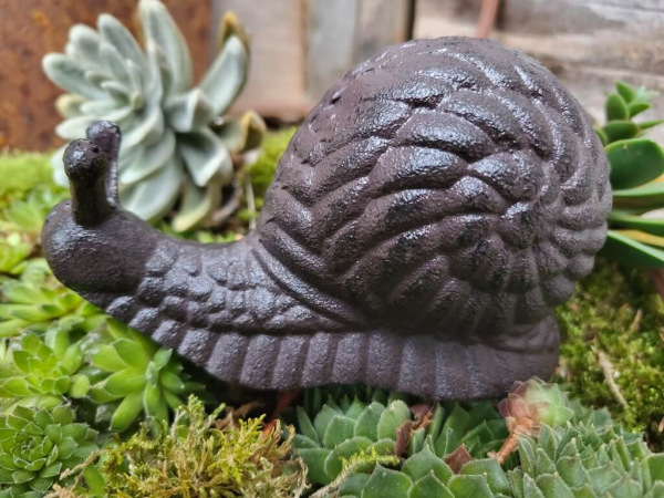 Gusseisen Schnecke Snaili
