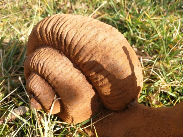 Gusseisen Schnecke