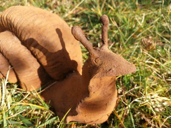 Gusseisen Schnecke