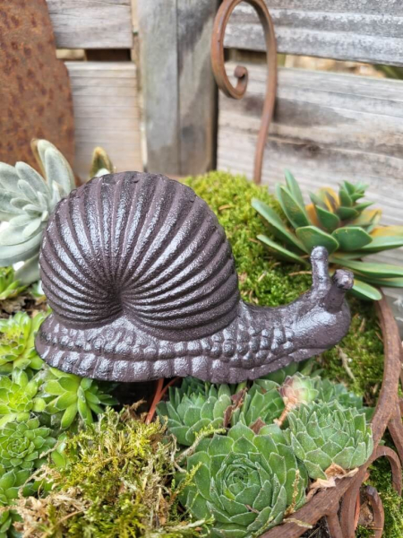 Gusseisen Schnecke Snaili