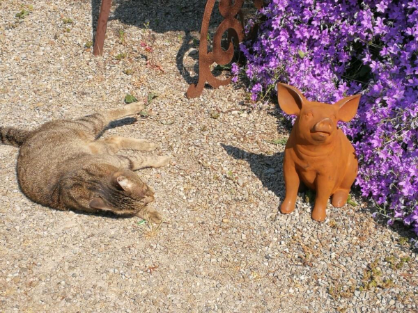 Gusseisen Schwein Bärbel