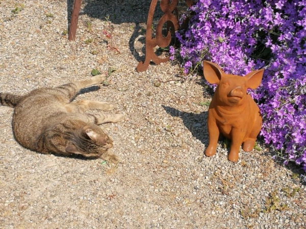 Gusseisen Schwein Bärbel