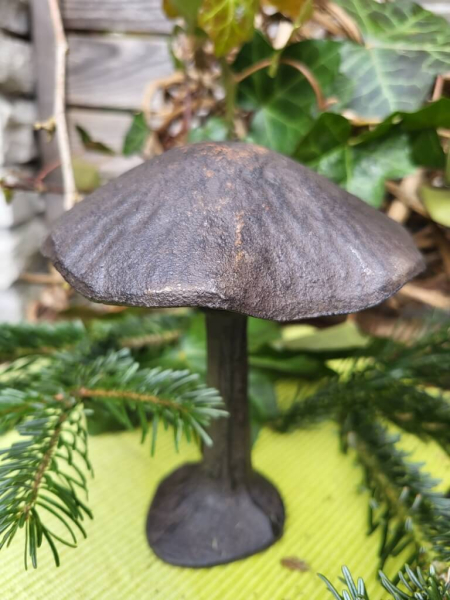 Gusseisen Pilz zum Stellen, flacher Hut