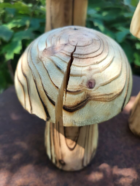 Holzpilz