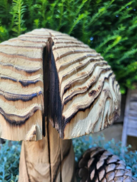Holzpilz