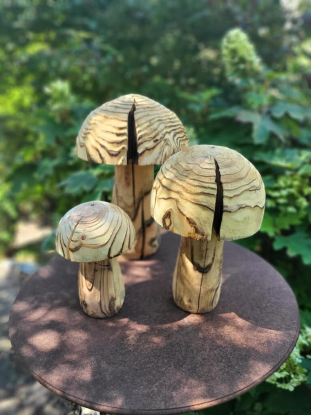 Holzpilz