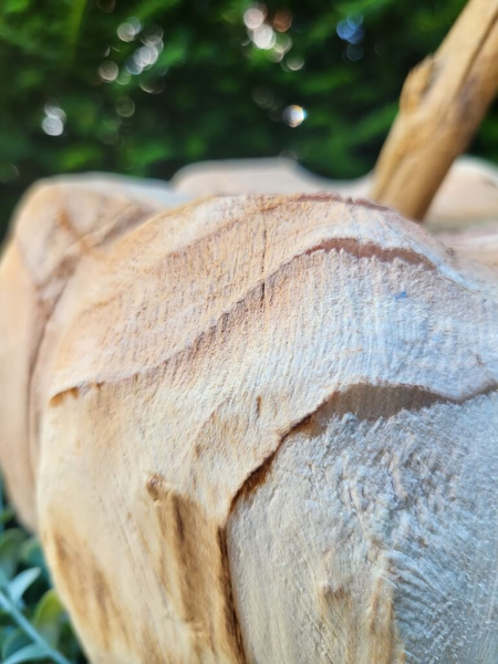 Holzkürbis