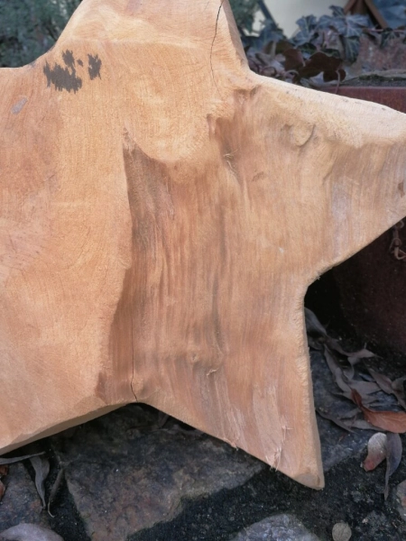 Teakholzstern