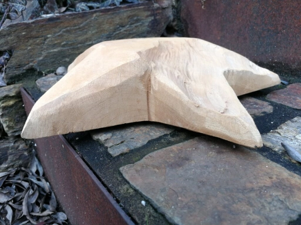 Teakholzstern