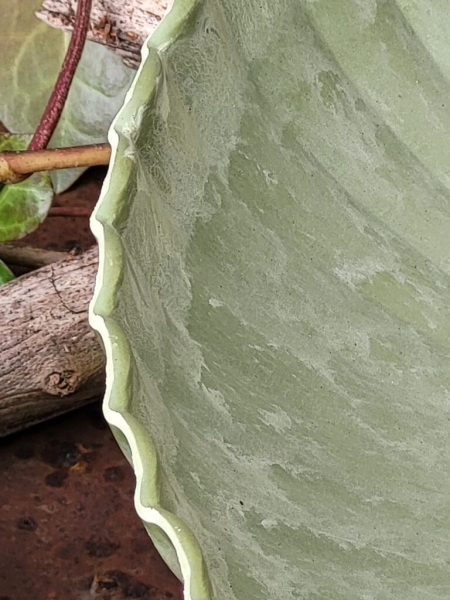 Kunststoff Pflanzschale Yodit, grün