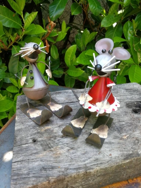 Maus Amigo auf Ski