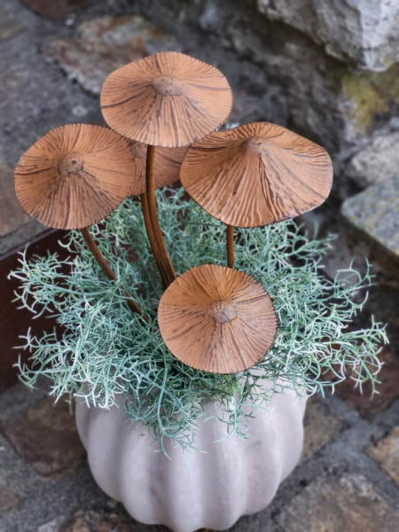 Topfstecker 5er Pilz-Gruppe, Edelrostoptik 3D