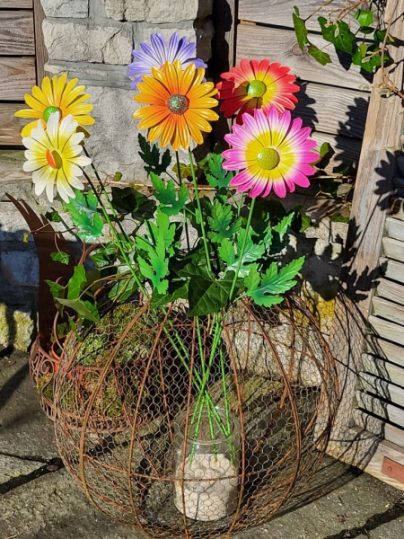 Topfstecker Blüte Daisy