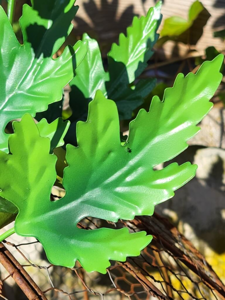 Topfstecker Blüte Daisy