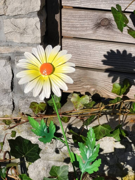 Topfstecker Blüte Daisy