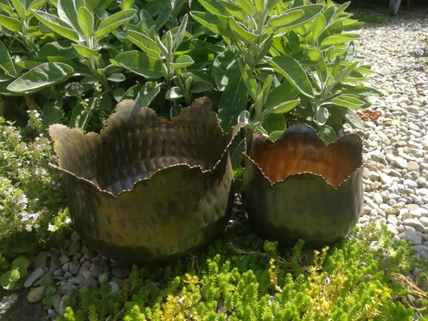 Pflanzschale Blüte mit Punktrand, kupfer-grün