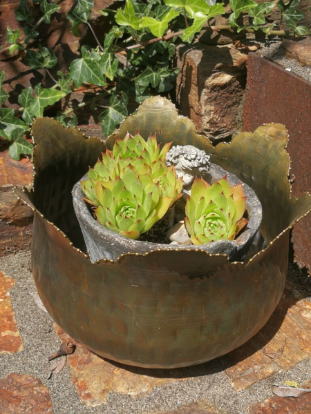 Pflanzschale Blüte mit Punktrand, kupfer-grün