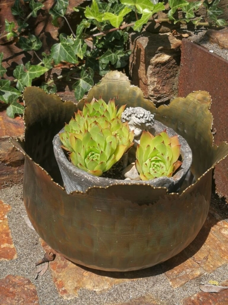 Pflanzschale Blüte mit Punktrand, kupfer-grün
