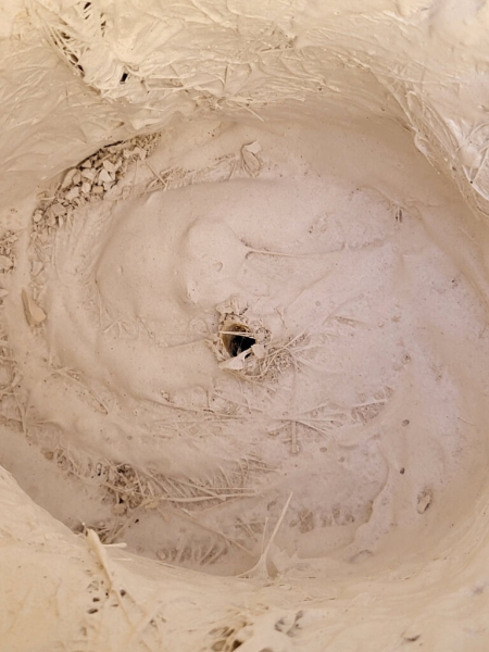 Pflanztopf Gesicht, modern, Magnesia