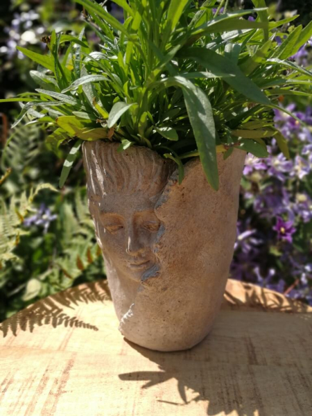 Pflanzvase Gesicht