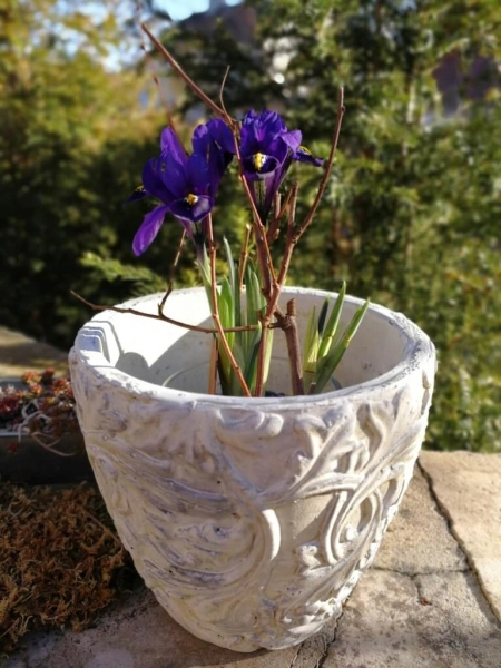 Pflanzvase Valo Ranke creme aus Zement