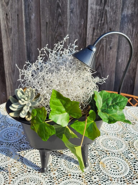 Pflanzschale Wanne mit Brause, Zink glänzend