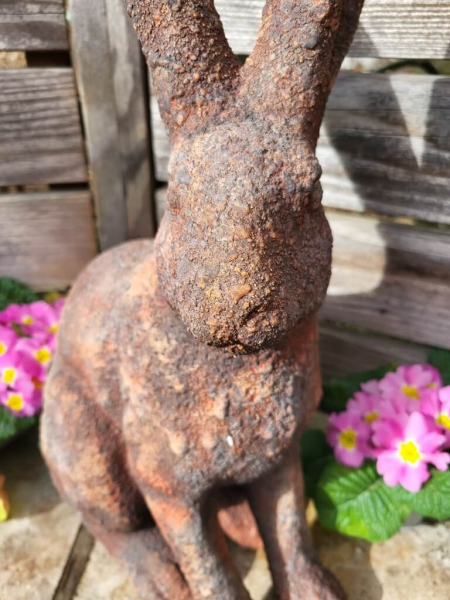 Hase Graz, Rostoptik, Blick rechts