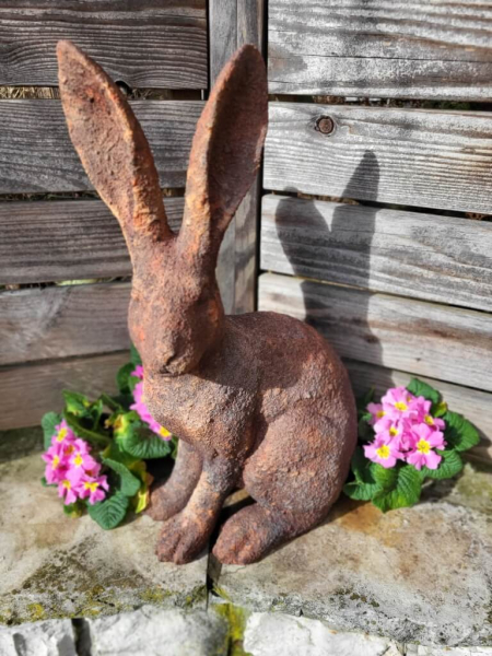 Hase Graz, Rostoptik, Blick links