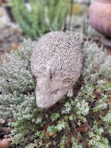 Polyresin Igel Spikes