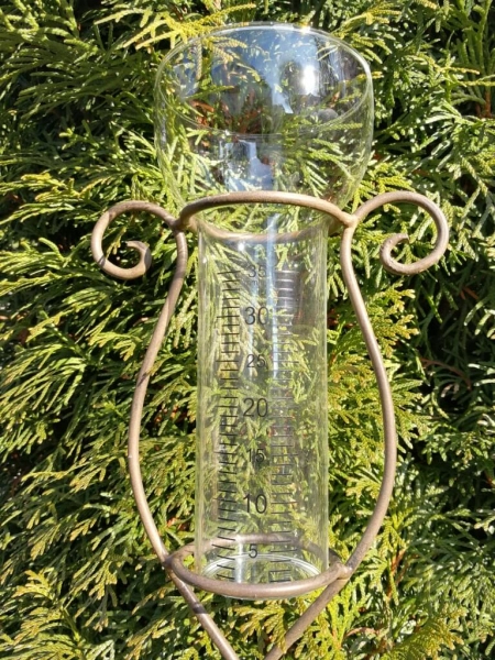 Regenmesser Schmetterling unten, braun-schwarz