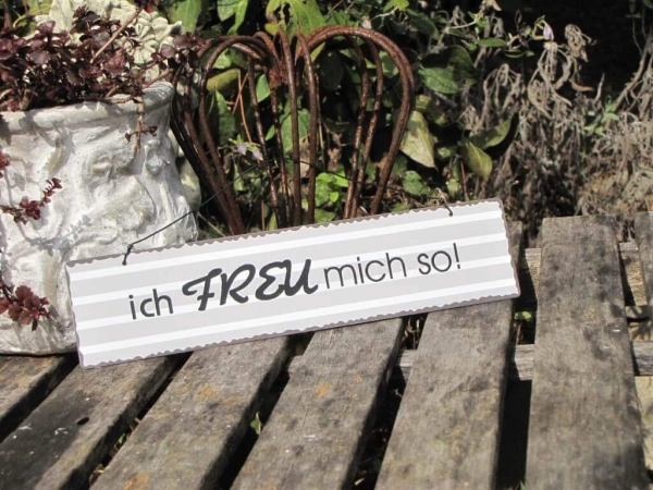 Shabby Chic Metallspruchschilder Funny