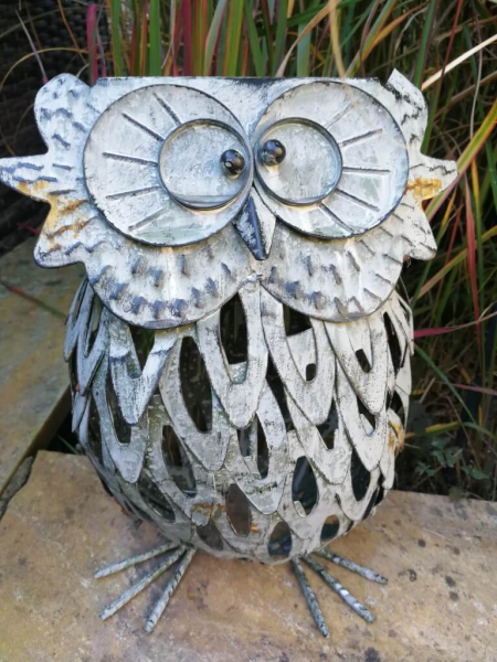 Windlicht Eule Esmeralda, Shabby Chic