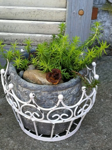 Shabby Chic Pflanzkorb Krone, weiß