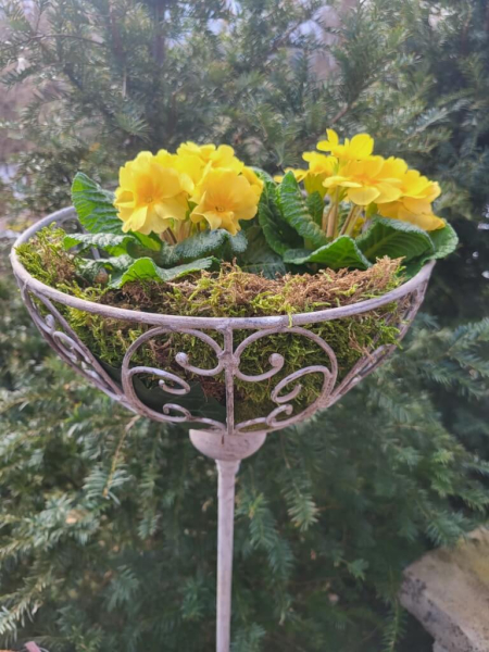 Shabby Chic Steckkorb Ravio, grau