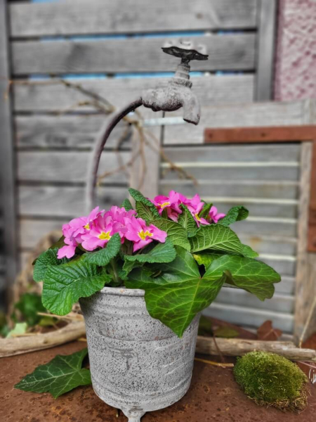 Shabby Chic Pflanztopf mit Wasserhahn, rund