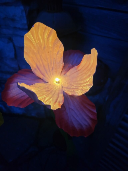 Solarblume Iris zum Stecken, rot