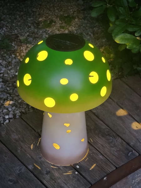 Solar Pilz, grün