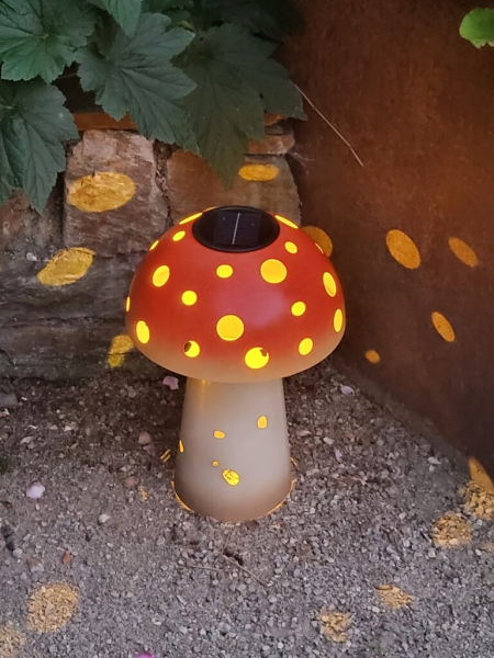 Solar Pilz, rot