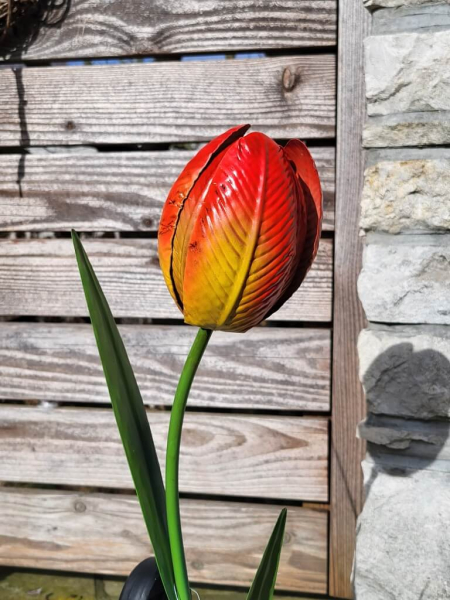 Solarblume Tulpe zum Stecken, rot