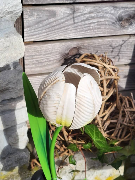 Solarblume Tulpe zum Stecken, weiß