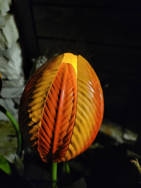 Solarblume Tulpe zum Stecken, orange