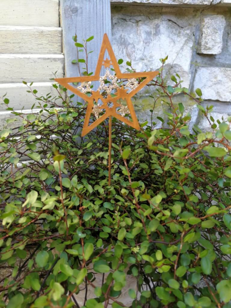 Topfstecker Stern Jak, Rost-Goldglitzer