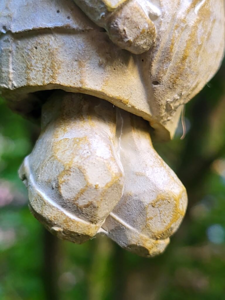 Weihnachtswichtel mit Vogel mitte, natur, Polyresin