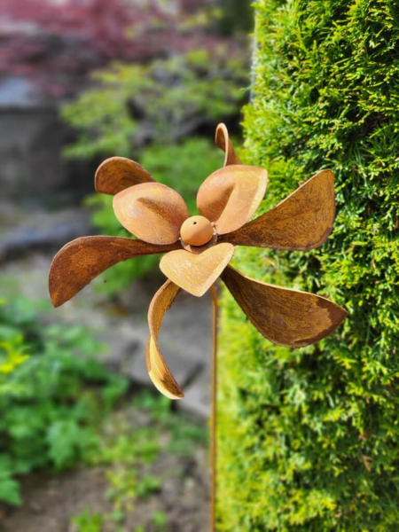 Edelrost Windrad Löffelblüte