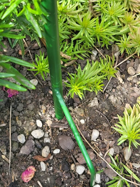 Windrad Sonnenblume zum Stecken