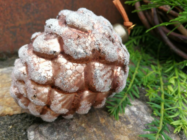 Christbaumkugel Zapfen Mikana 10 cm, hellbraun