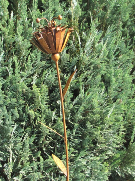 Edelrost Blume Jasmin 170 cm