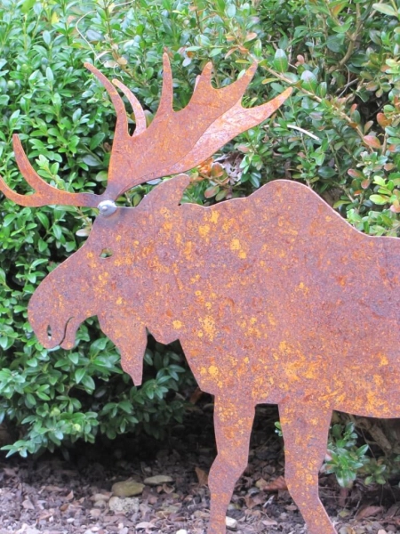 Edelrost Elch Rudolph 16 cm bis 45 cm