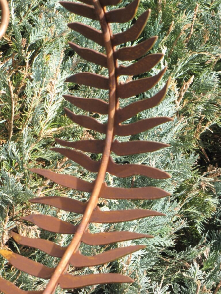 Edelrost Farnblatt 110 cm mit Haken