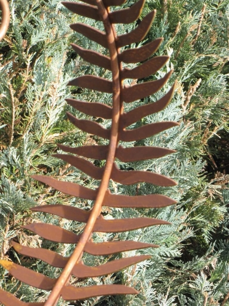 Edelrost Farnblatt 110 cm mit Haken